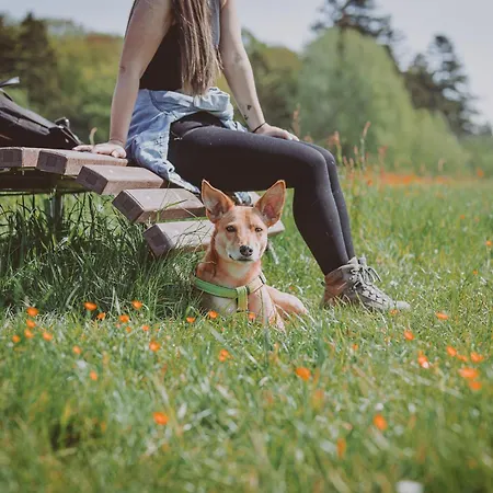 Marienhoeh - Hideaway & Hotel 4*