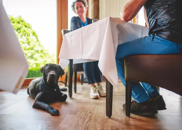 Das Marienhoeh Otel 4*