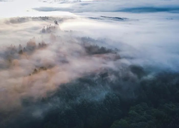 Das Marienhoeh 4* Langweiler (Birkenfeld)