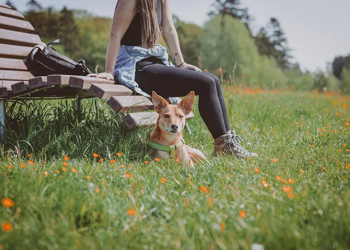 Das Marienhoeh Otel 4*